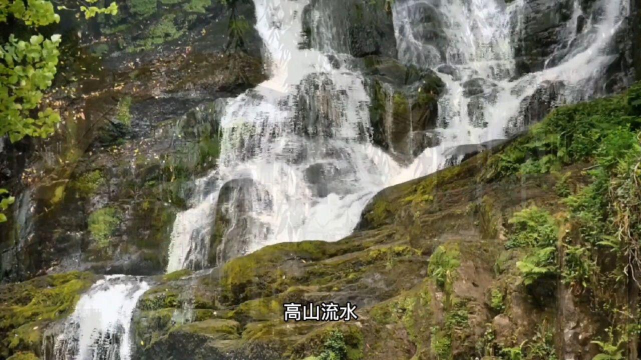 2平1负亚洲杯小组出局，官方：阿曼队主帅伊万科维奇下课