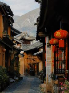 雨后盛放